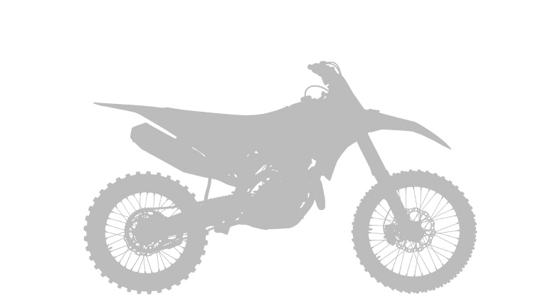 Desmo450 MX